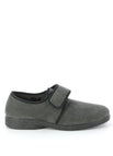 Gris
