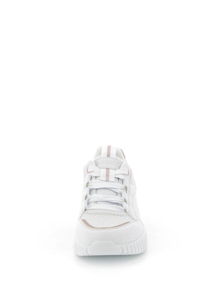 252X$127$_3