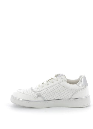 252X$295$_4