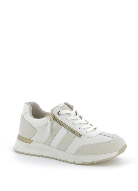 252X$337$_2