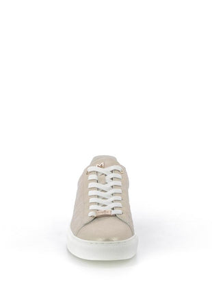 MEXX Baskets - Pronti