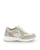 253X$141$_1