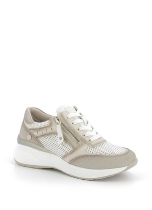 253X$141$_2
