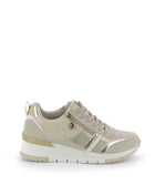 253X$338$_1