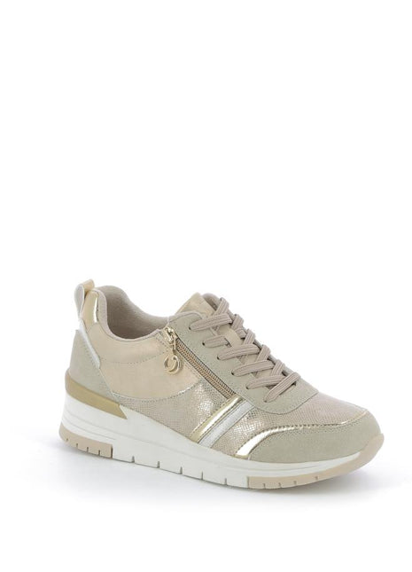 253X$338$_2