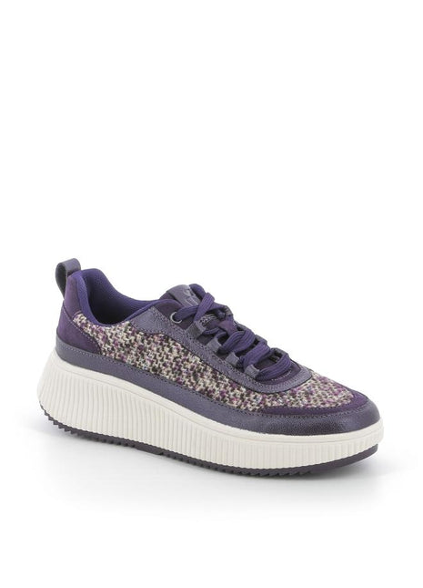 255X$259$_2