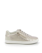 256X$196$_1