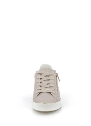 256X$196$_3