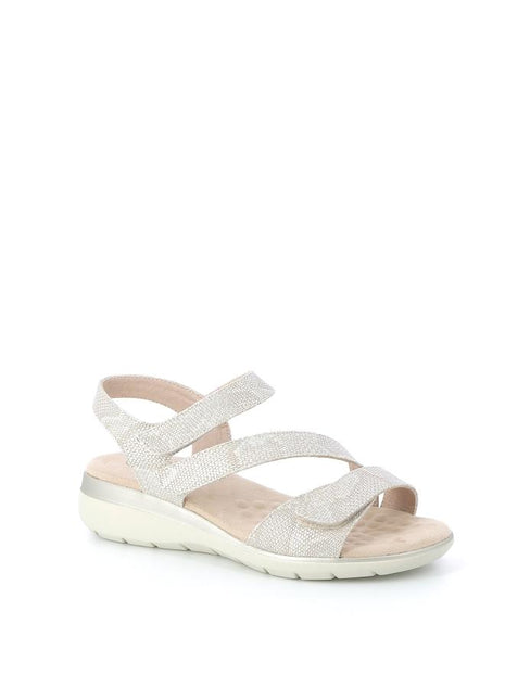 363X$049$_2