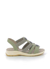 Groen