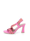 Roze