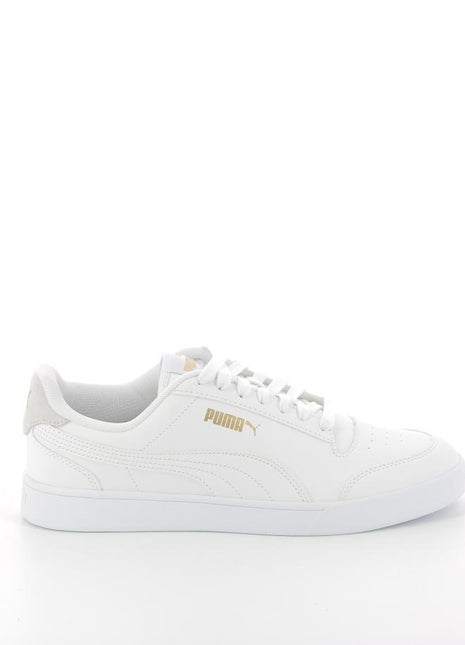 762X$088$_1